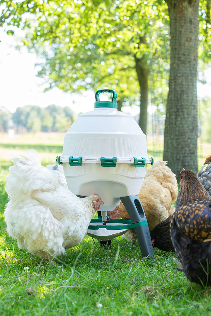 OLBA Geflügel-Siphontränke Optimus